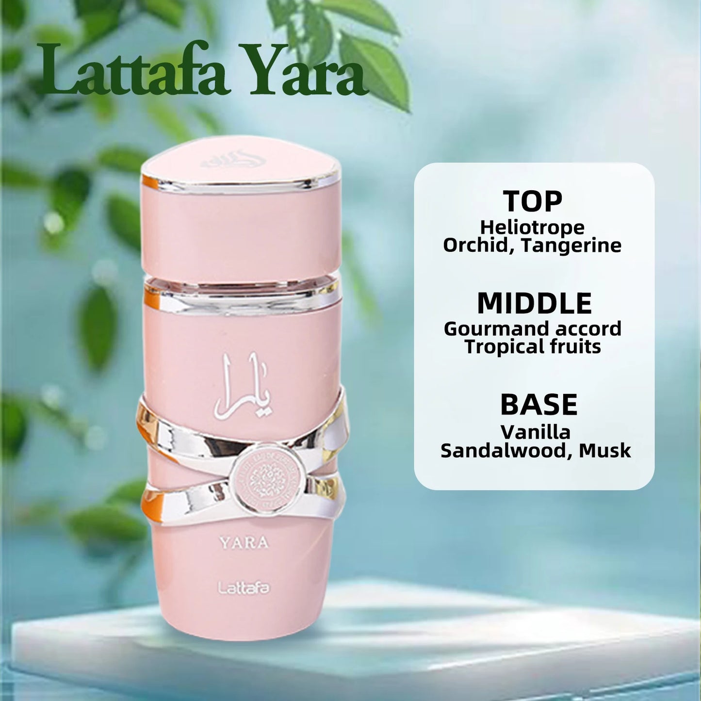 Lattafa Asad Men X Lattafa Yara Women Fragrance